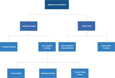 Adhesive Tissue Engineered Scaffolds: Mechanisms and Applications